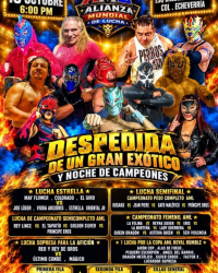 source: https://luchadb.com/posters/uploads/2026101303/2026101303_05.png