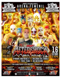 source: https://luchadb.com/posters/uploads/2026101301/2026101301_03.png