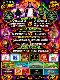 source: https://luchadb.com/posters/uploads/2026101504/2026101504_02.png