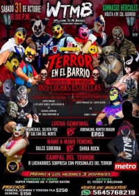 source: https://luchadb.com/posters/uploads/2026101702/2026101702_12.png