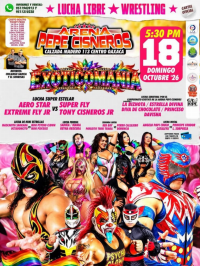 source: https://luchadb.com/posters/uploads/2026101802/2026101802_16.png
