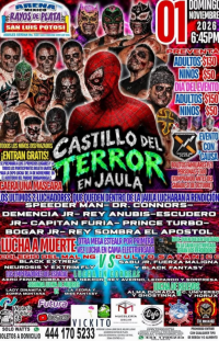 source: https://luchadb.com/posters/uploads/2026102003/2026102003_02.png