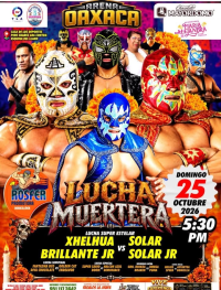 source: https://luchadb.com/posters/uploads/2026102001/2026102001_10.png