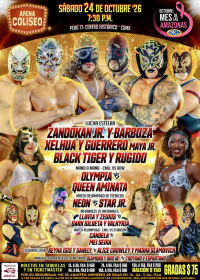 source: https://luchadb.com/posters/uploads/2026102201/2026102201_01.png