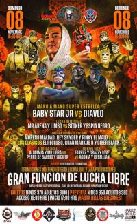 source: https://luchadb.com/posters/uploads/2026102204/2026102204_16.png