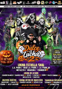 source: https://luchadb.com/posters/uploads/2026102701/2026102701_12.png