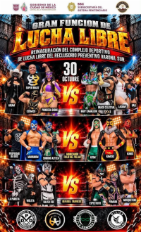 source: https://luchadb.com/posters/uploads/2026102702/2026102702_08.png