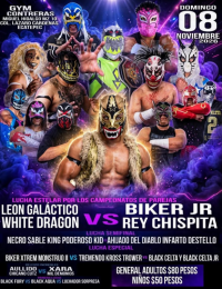 source: https://luchadb.com/posters/uploads/2026102703/2026102703_02.png