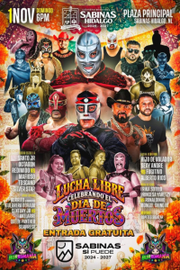 source: https://luchadb.com/posters/uploads/2026102703/2026102703_04.png