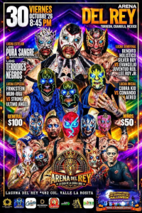 source: https://luchadb.com/posters/uploads/2026102703/2026102703_11.png