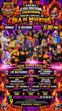 source: https://luchadb.com/posters/uploads/2026102704/2026102704_15.png